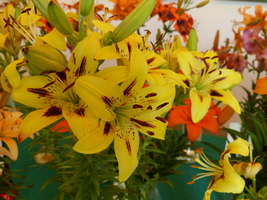 Foto: Dr. Peter Müller